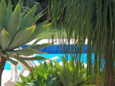 Casa de Condomínio com 4 Quartos para alugar, 335m² no Loteamento Alphaville Campinas, Campinas