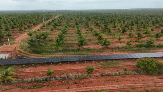 Fazenda/Sítio com 4 Quartos à venda, 600000m² no , Touros