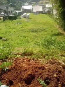 Lote/Terreno à venda, 1086m² no Jurerê, Florianópolis