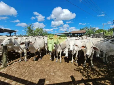 Fazenda/Sítio à venda, 2516800m² no Centro (São Vicente), Araruama