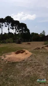Fazenda/Sítio com 2 Quartos à venda, 750m² no Área Rural de Águas Claras, Viamão
