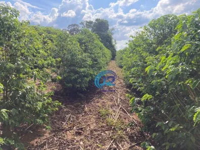 Fazenda/Sítio com 3 Quartos à venda, 200m² no Centro, Santo Antônio do Jardim