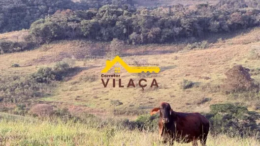 Lote/Terreno à venda, 34m² no , Tiradentes