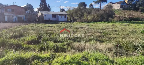 Lote/Terreno à venda, 451m² no Centro, São Francisco de Paula