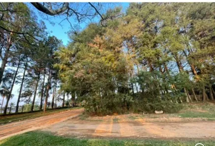 Lote/Terreno à venda, 230m² no Jardim das Palmeiras (Zona Sul), São Paulo