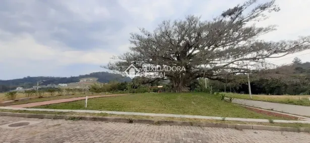 Lote/Terreno à venda, 259m² no Campo Novo, Porto Alegre