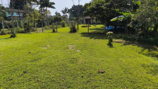 para alugar, 735m² no Vargem Grande, Florianópolis