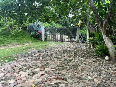 Fazenda/Sítio com 2 Quartos à venda, 115m² no Lameirão, Mulungu