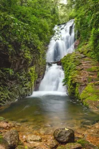 Fazenda/Sítio com 3 Quartos à venda, 80000m² no Visconde de Mauá, Resende