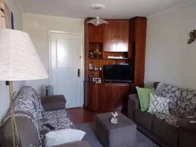 Apartamento com 3 Quartos à venda, 80m² no Vila Manoel Ferreira, Campinas