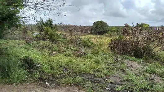 Lote/Terreno à venda, 19960m² no Arembepe (Abrantes), Camaçari