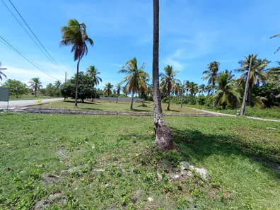 Lote/Terreno à venda, 390m² no Porto de Galinhas, Ipojuca