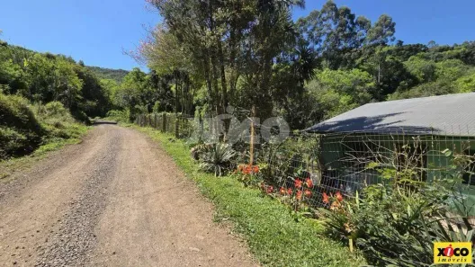 Lote/Terreno à venda, 5000m² no Vila Olinda, Nova Petrópolis