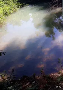 Fazenda/Sítio à venda no Jundiaí, Anápolis