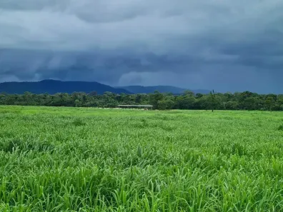 Fazenda/Sítio à venda, 400m² no Centro, Santa Terezinha