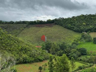Fazenda/Sítio com 4 Quartos à venda, 53300m² no , Olaria
