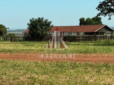 Lote/Terreno à venda, 130m² no , Querência do Norte