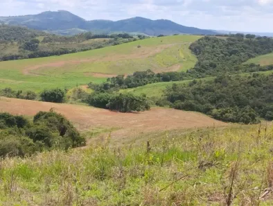 Fazenda/Sítio com 4 Quartos à venda, 256520000m² no , Conceição do Rio Verde