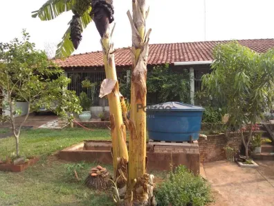 Fazenda/Sítio com 1 Quarto à venda, 90m² no Condomínio Morada do Sol (Zona Rural), São José do Rio Preto