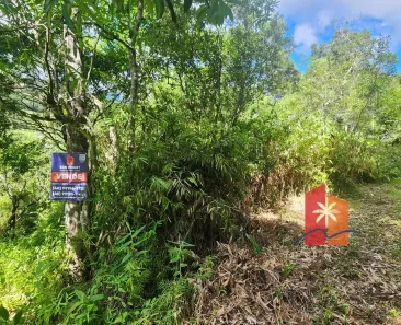 Lote/Terreno à venda, 362m² no , Garopaba