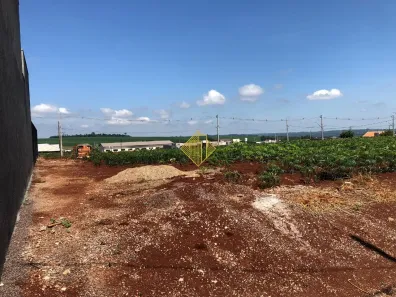 Lote/Terreno à venda, 401m² no Novo Sobradinho, Toledo