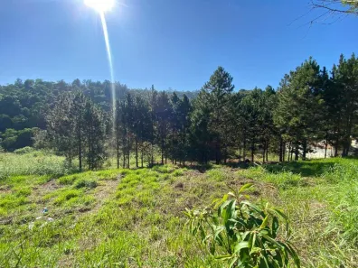 Lote/Terreno à venda, 10000m² no , Guararema
