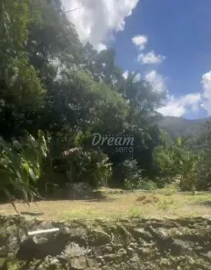 Lote/Terreno à venda, 3000m² no Ponte da Saudade, Nova Friburgo