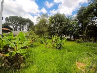 Lote/Terreno à venda, 267m² no Jardim das Palmeiras (Zona Sul), São Paulo