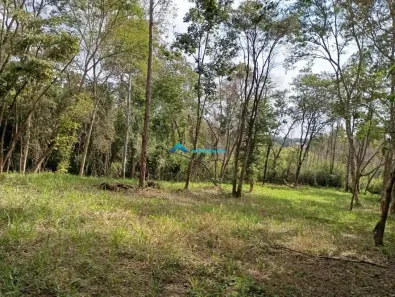 Lote/Terreno à venda, 10000m² no Jardim Colônia, Jundiaí