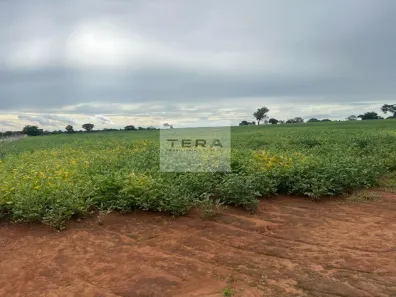 Fazenda/Sítio à venda, 140000m² no , Bela Vista de Goiás