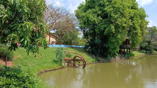 Fazenda/Sítio com 3 Quartos à venda, 242000m² no Área Rural de Monte Aprazível, Monte Aprazível