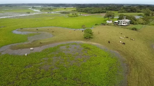 Fazenda/Sítio com 3 Quartos à venda, 54000000m² no , Amapá