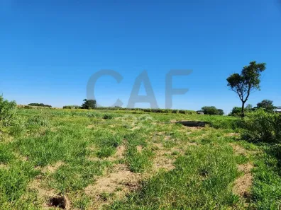 Lote/Terreno à venda, 29996m² no , Holambra