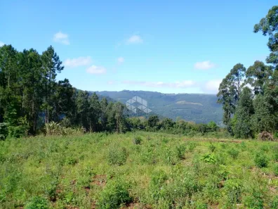 Fazenda/Sítio à venda, 37297m² no Pinhal Alto, Nova Petrópolis