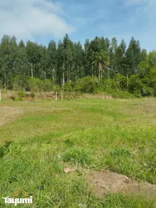 Lote/Terreno à venda, 582m² no Linha Santa Cruz, Santa Cruz do Sul
