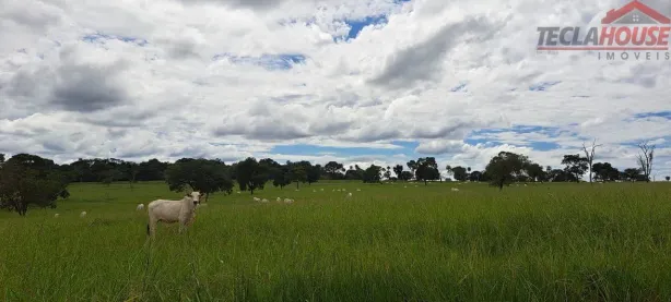 Fazenda/Sítio com 6 Quartos à venda, 2180000m² no Campina Verde, Campina Verde