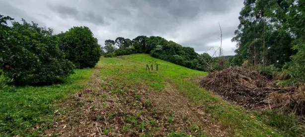 Lote/Terreno à venda, 30000m² no Pinhal Alto, Nova Petrópolis