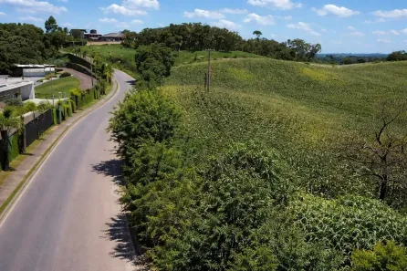 Fazenda/Sítio à venda, 5000m² no Campo Novo, Campo Magro