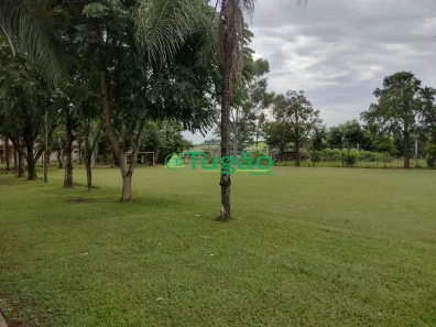 Fazenda/Sítio à venda, 5000m² no Jardim Veneza, São José do Rio Preto