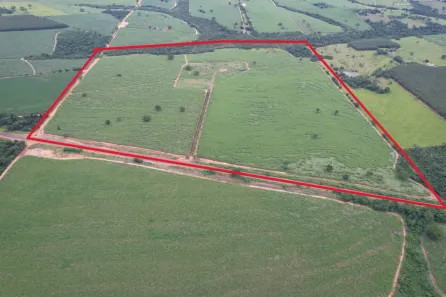 Fazenda/Sítio à venda, 798600m² no , Nhandeara