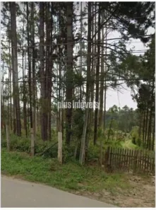 Lote/Terreno à venda, 54330m² no Jardim Campestre, Embu-Guaçu