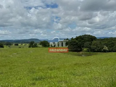 Fazenda/Sítio à venda, 500m² no Setor Central, São Luís de Montes Belos