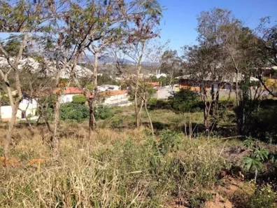 Lote/Terreno à venda, 800m² no Loteamento Vale das Flores, Atibaia