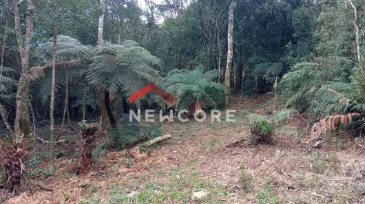 Lote/Terreno à venda, 600m² no Centro, São Francisco de Paula