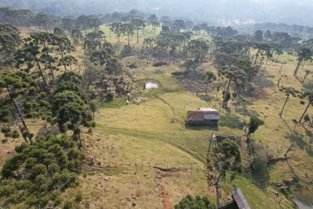Lote/Terreno à venda, 20000m² no Urubici, Urubici