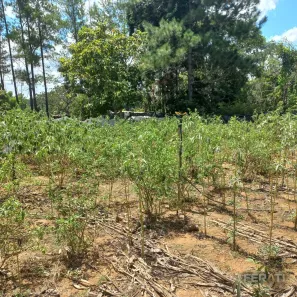 Lote/Terreno à venda, 500m² no Setor Lagoa Quente, Caldas Novas