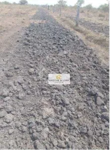 Fazenda/Sítio com 10 Quartos à venda, 500m² no Centro, Lagoa da Confusão