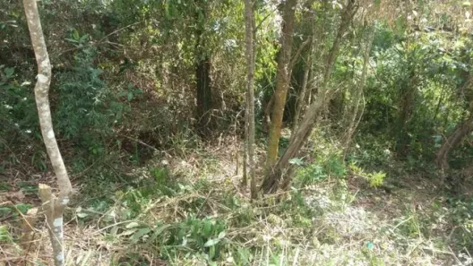 Lote/Terreno à venda, 586m² no Chácara Jaguari (Fazendinha), Santana de Parnaíba