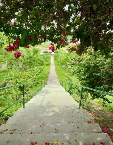 Lote/Terreno à venda, 238m² no André, Sapé