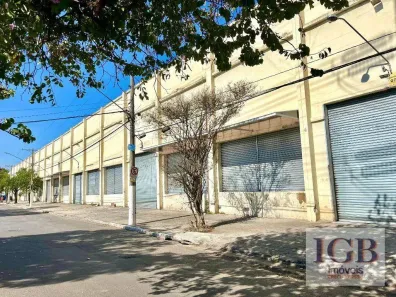 Galpão/Depósito/Armazém para alugar, 9507m² no Vila Ribeiro de Barros, São Paulo